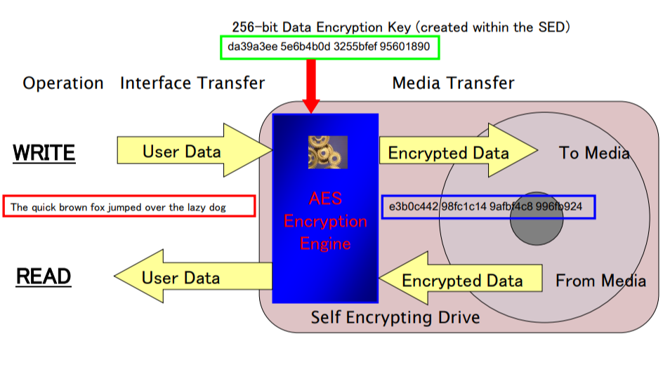 Your AllinOne Guide to SelfEncrypting Drives (SEDs)
